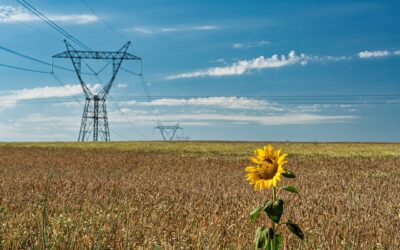 Comment et pourquoi changer de fournisseur d’électricité ?